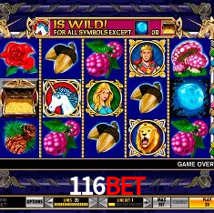 Desvendando o Mundo dos Jogos Virtuais na 116Bet
