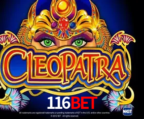 A Experiência Imersiva dos Cassinos Ao Vivo no 116Bet